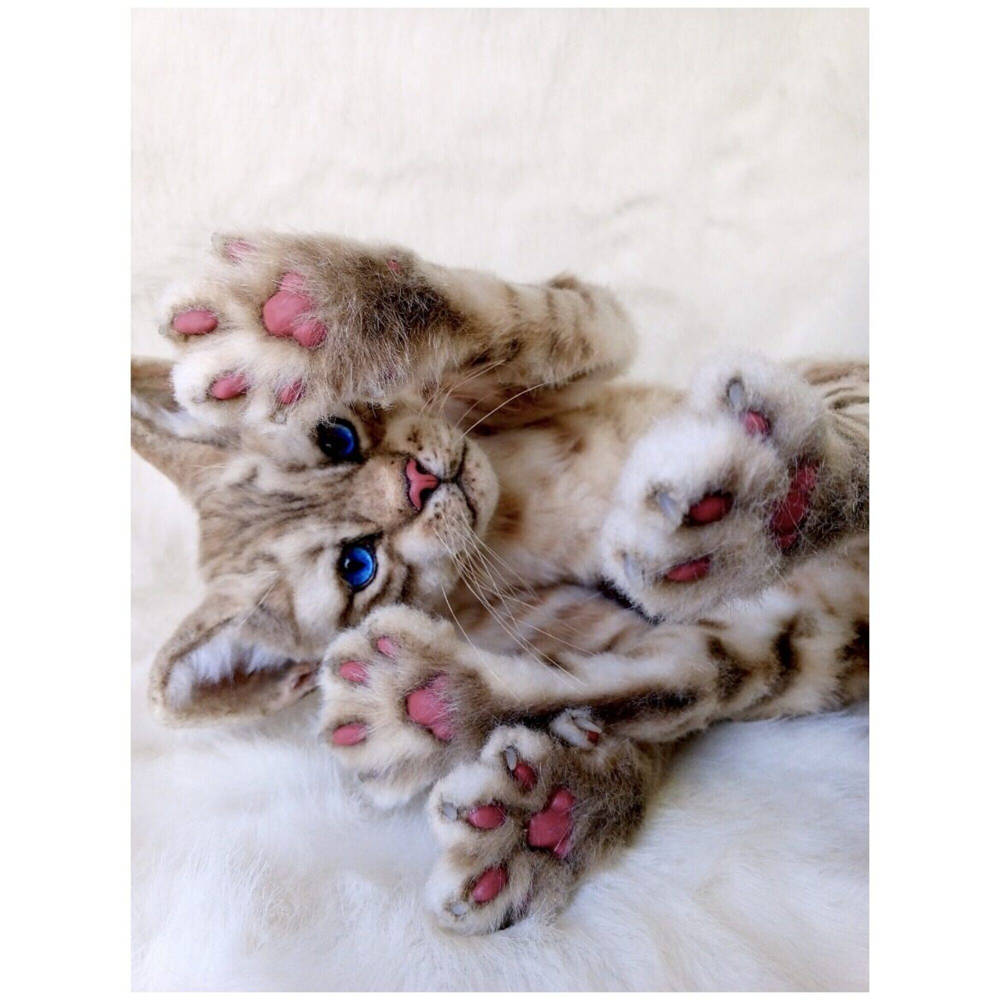 Bengal cat realistic toy