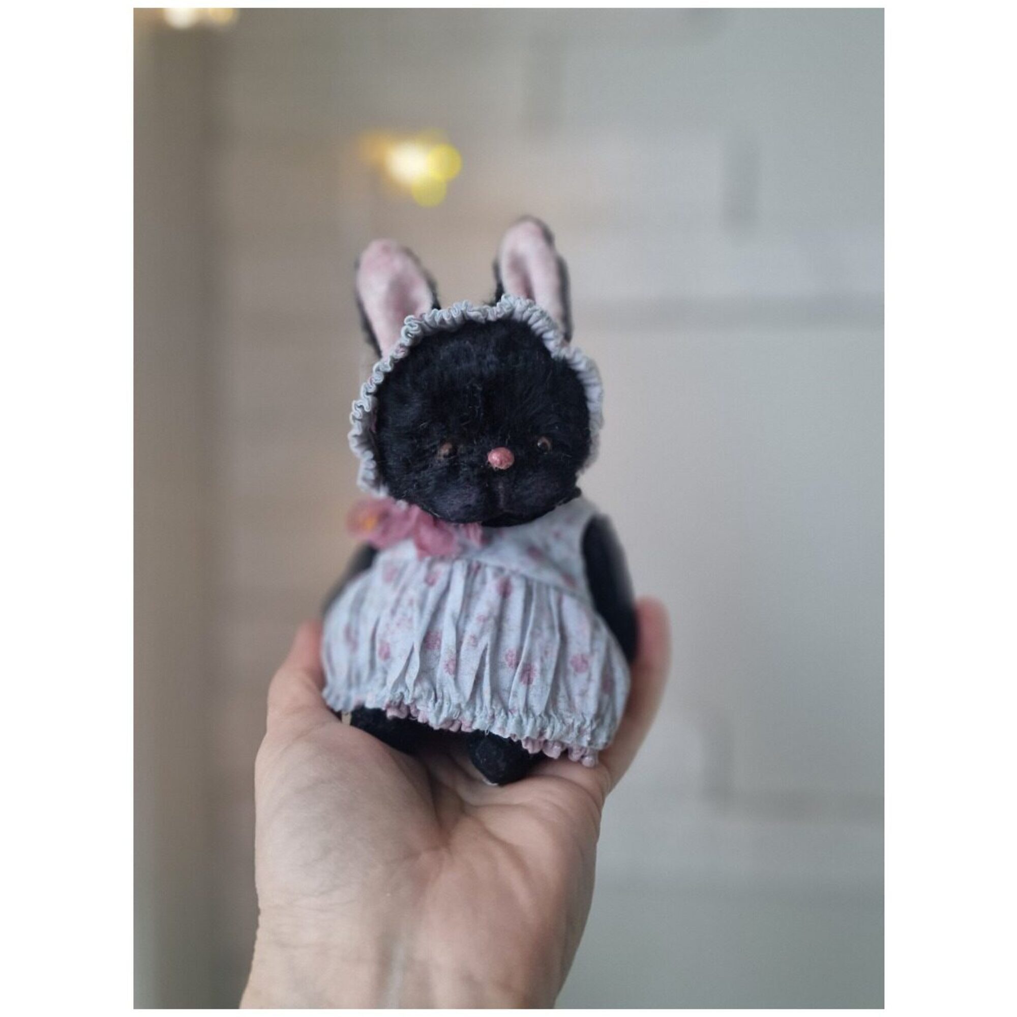 Black rabbit